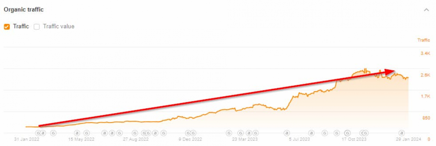 SEO Promotion for SaaS Project screenshot 1