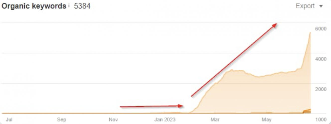 SEO for Private IT Schools: +458% Surge in Organic Traffic in 6 Months screenshot 4