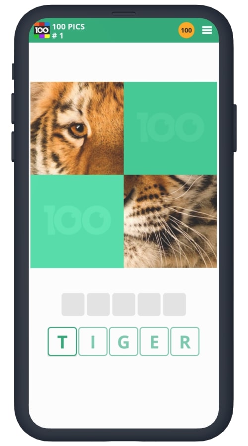 100 PICS Quiz screenshot 2