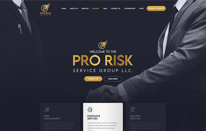 Pro Risk Service Group LLC screenshot 1