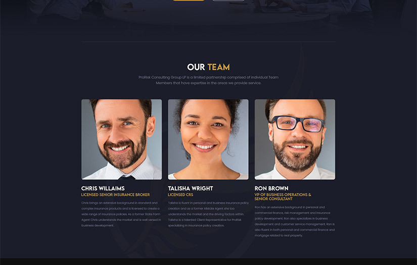 Pro Risk Service Group LLC screenshot 2