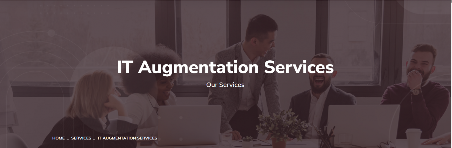 IT staff augmentation services screenshot 1