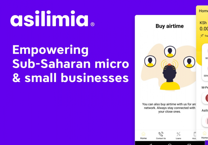 App for African micro/small businesses screenshot 1