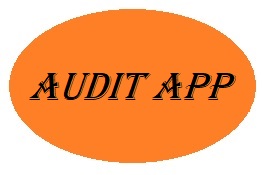 Audit App