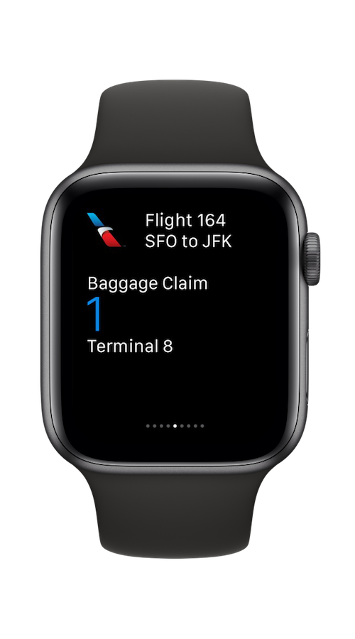 American Airlines iOS Development screenshot 2