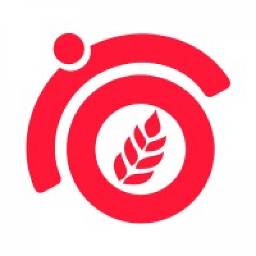 Top SEO Agency in Australia: Boost Your Business with ThatWare LLP screenshot 1