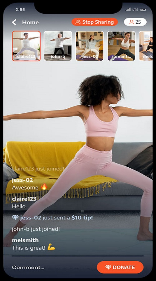 Salut Interactive Inc screenshot 1