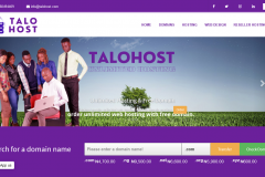 Hosting and Domain System