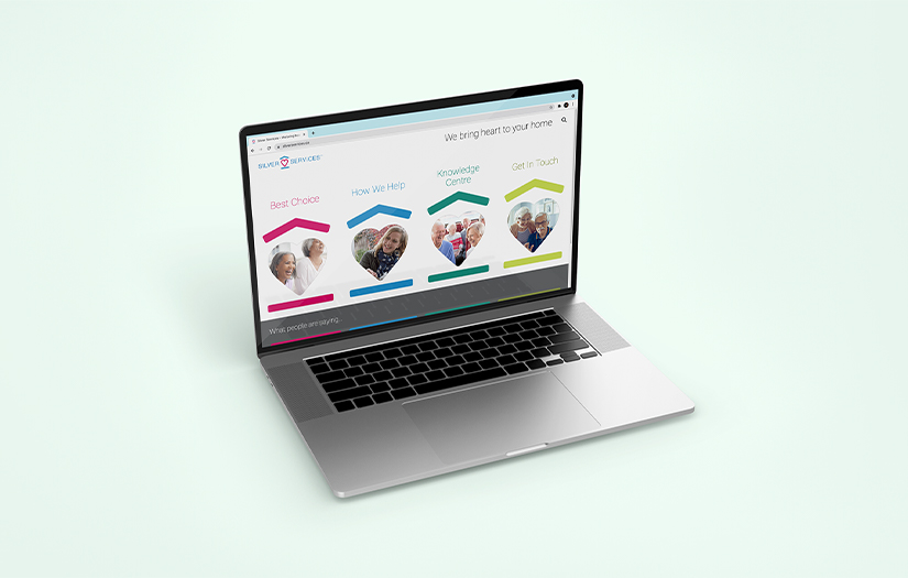 Website Design for Silver Services screenshot 1