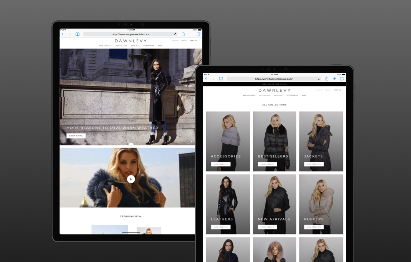 Dawn Levy screenshot 2