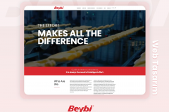 Beybi SEO Services, E-Commerce Services