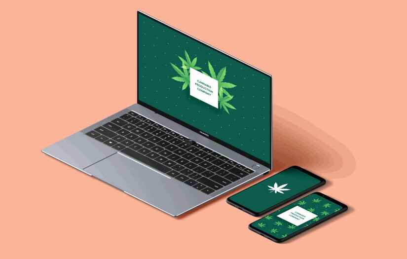 Cannabis production company screenshot 1