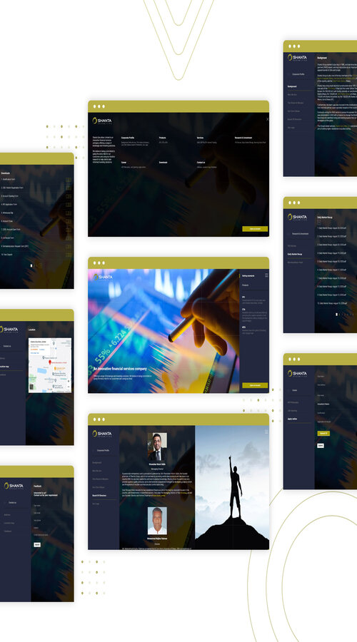 Shanta Securities Limited Web Portal Development screenshot 2