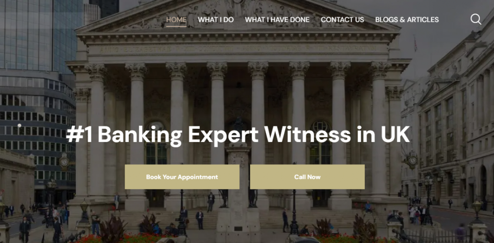 Banking Expert Witness screenshot 1