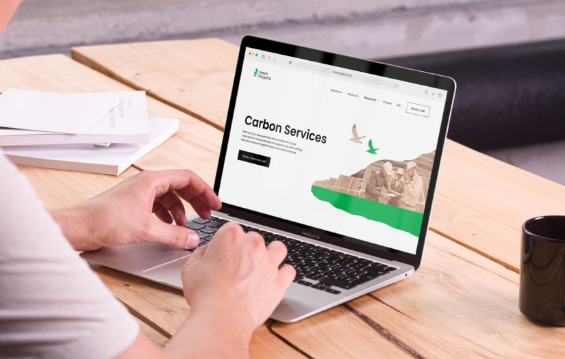 Nexio Project: Branding & Web screenshot 1