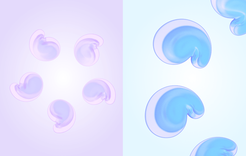 Cashew: Brand Identity & Web screenshot 2