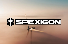 Spexigon: Brand Identity & Website