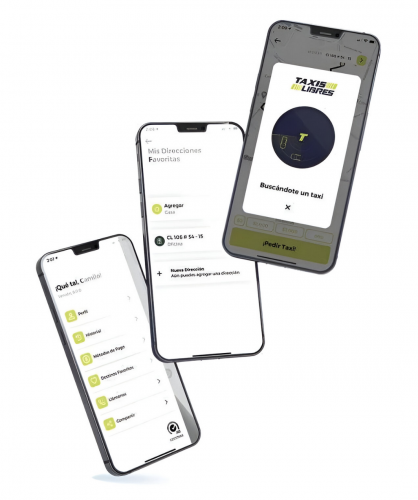 Nearshore App Development For Latin American Transportation Company screenshot 3