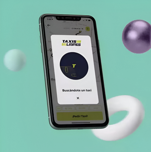Nearshore App Development For Latin American Transportation Company screenshot 4