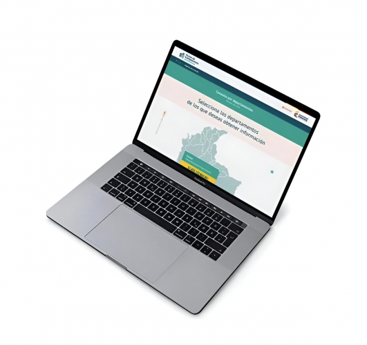 UI/UX And IT Development - Ministry of Finances of Colombia screenshot 4