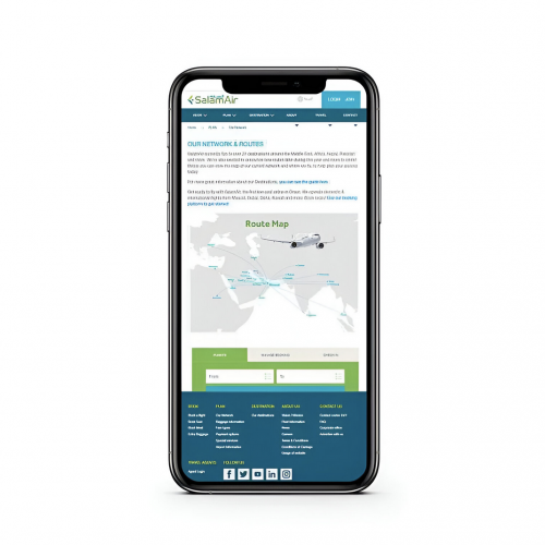 Outsourcing Offshore Service For International Travel Web Portals screenshot 1