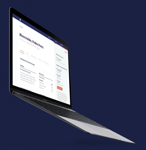 IT Consultancy And Nearshore Service - BSJI screenshot 1