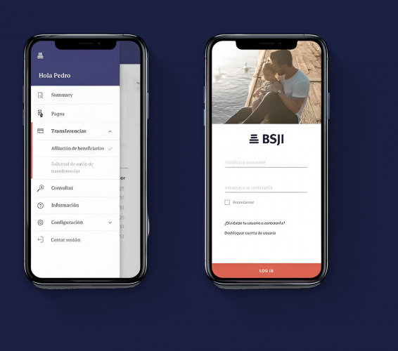 IT Consultancy And Nearshore Service - BSJI screenshot 2