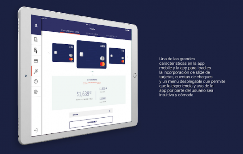 IT Consultancy And Nearshore Service - BSJI screenshot 5