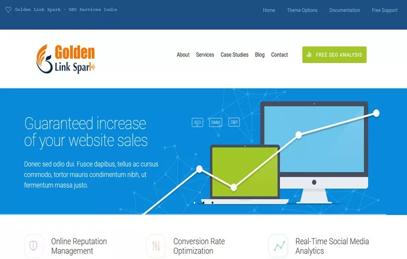 Golden Link Spark SEO Case Study screenshot 1