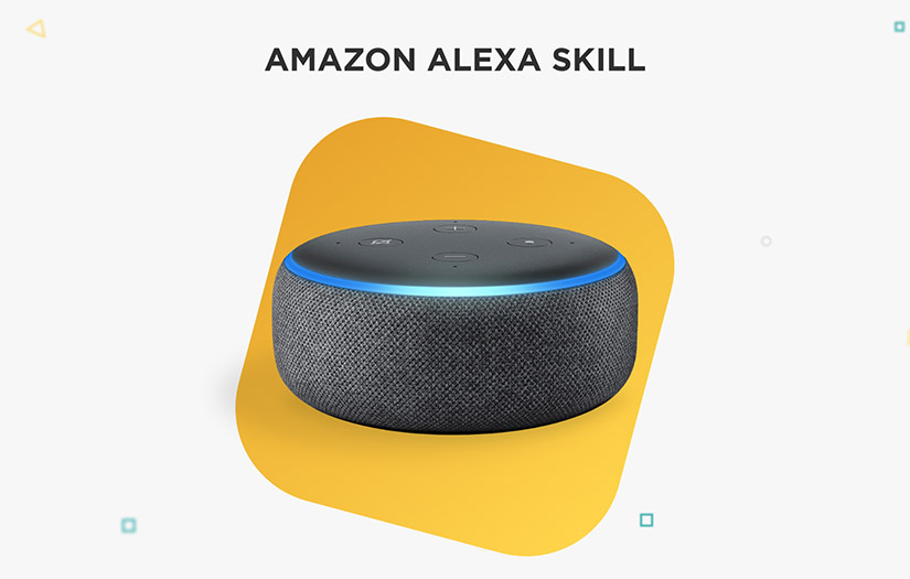 Amazon Alexa Skill screenshot 1