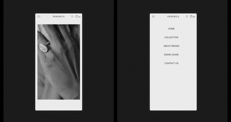 Design and Development for Shopify E-commerce Website screenshot 2