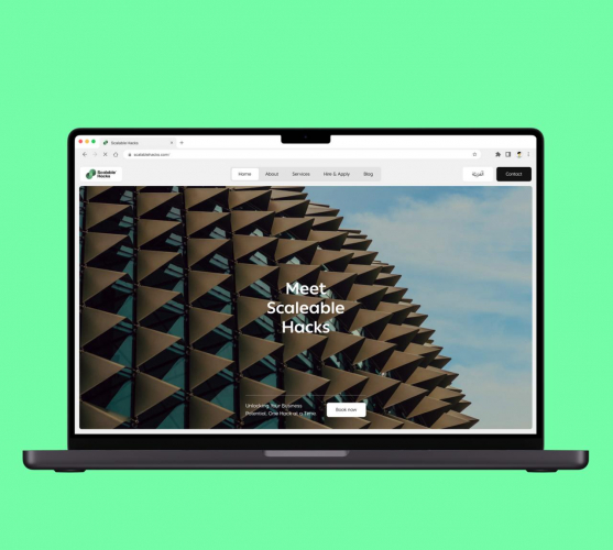 Web Design & Development for Agile Business Expansion screenshot 2