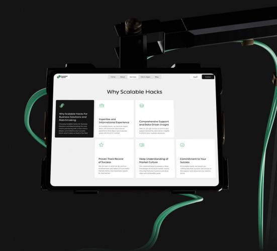 Web Design & Development for Agile Business Expansion screenshot 1