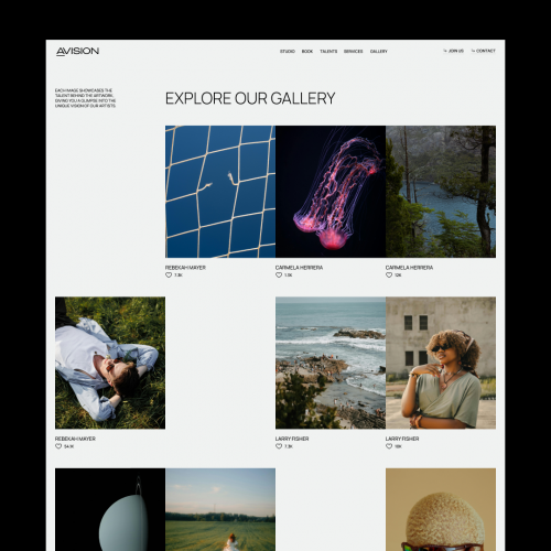 Web Design & Development for Creative Platform AVISION screenshot 5