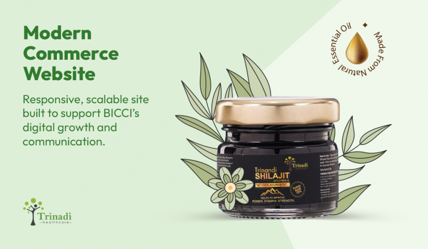 Shopify E-commerce Website Development screenshot 1