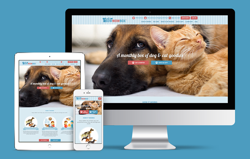 Responsive Website Design screenshot 1