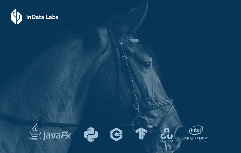 Predicting Success of Racehorses by 3D Depth Images screenshot 1