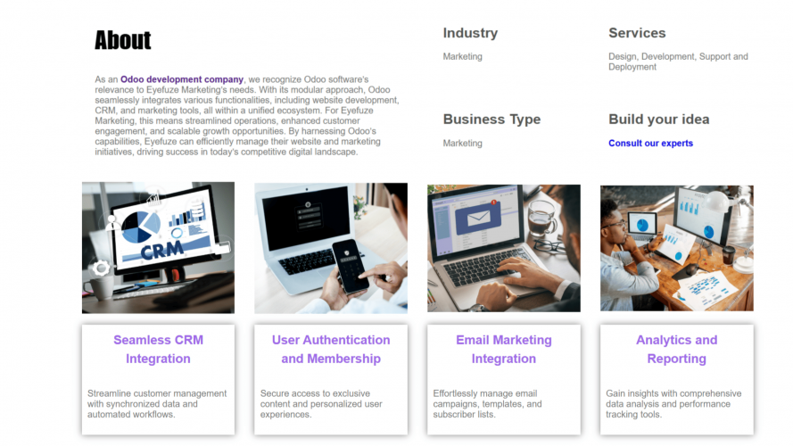 Odoo ERP Implementation For The Marketing screenshot 4