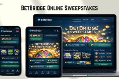 BetBridge – Online Sweepstakes Gaming Platform