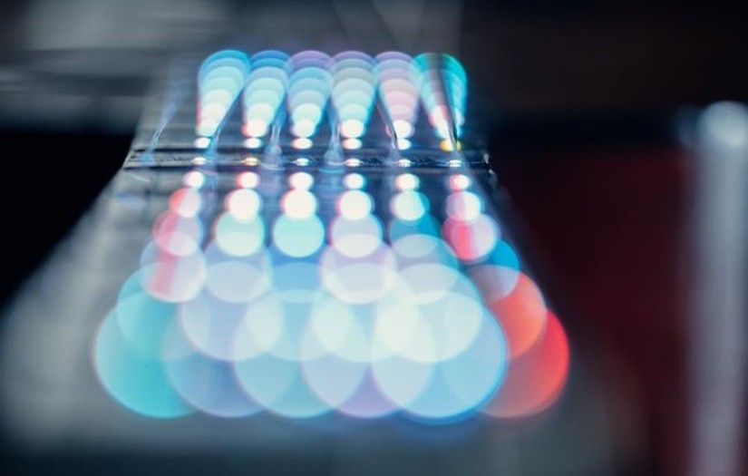 Fret Zealot Guitar Accessory screenshot 3