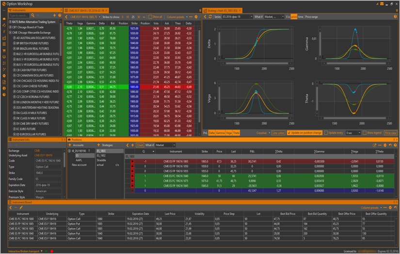 OptionWorkshop — software for options trading automation screenshot 2