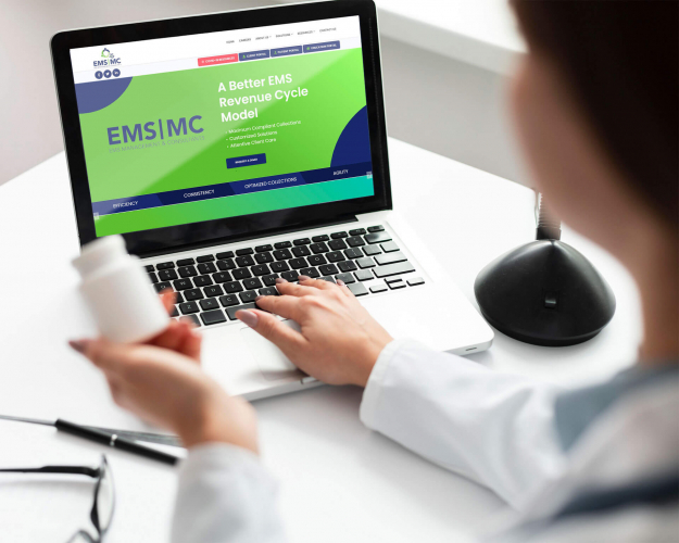 EM Solutions screenshot 1