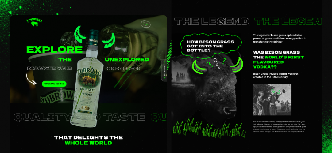 Żubrówka – Website & SM Design For Beverage Brand screenshot 1