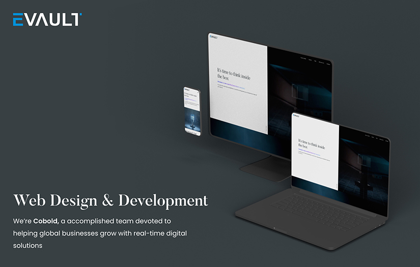 Evault Website Development screenshot 1