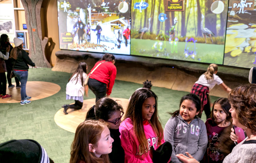 River Legacy Discovery Room screenshot 1