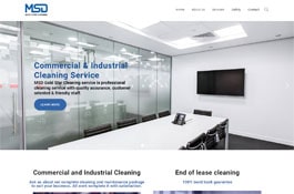 MSD Gold Star Cleaning