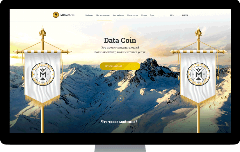 DATA COIN screenshot 1