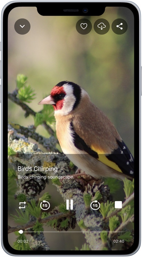 Relaxable screenshot 2