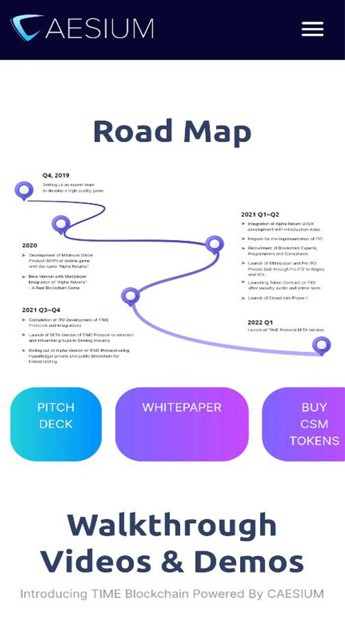 Blockchain Protocol Development screenshot 2