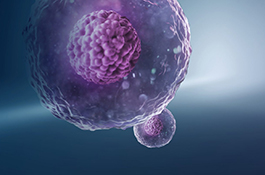 Thermo Fisher – Connections for Life